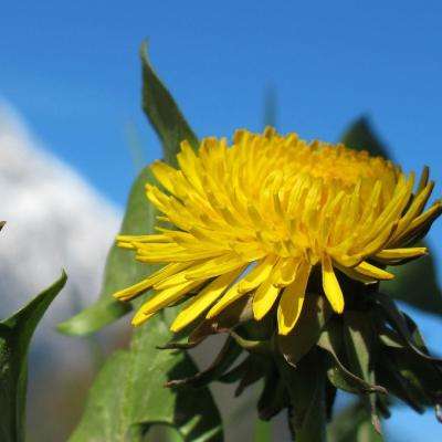 m6米乐网页版登录入口下载手机版截图